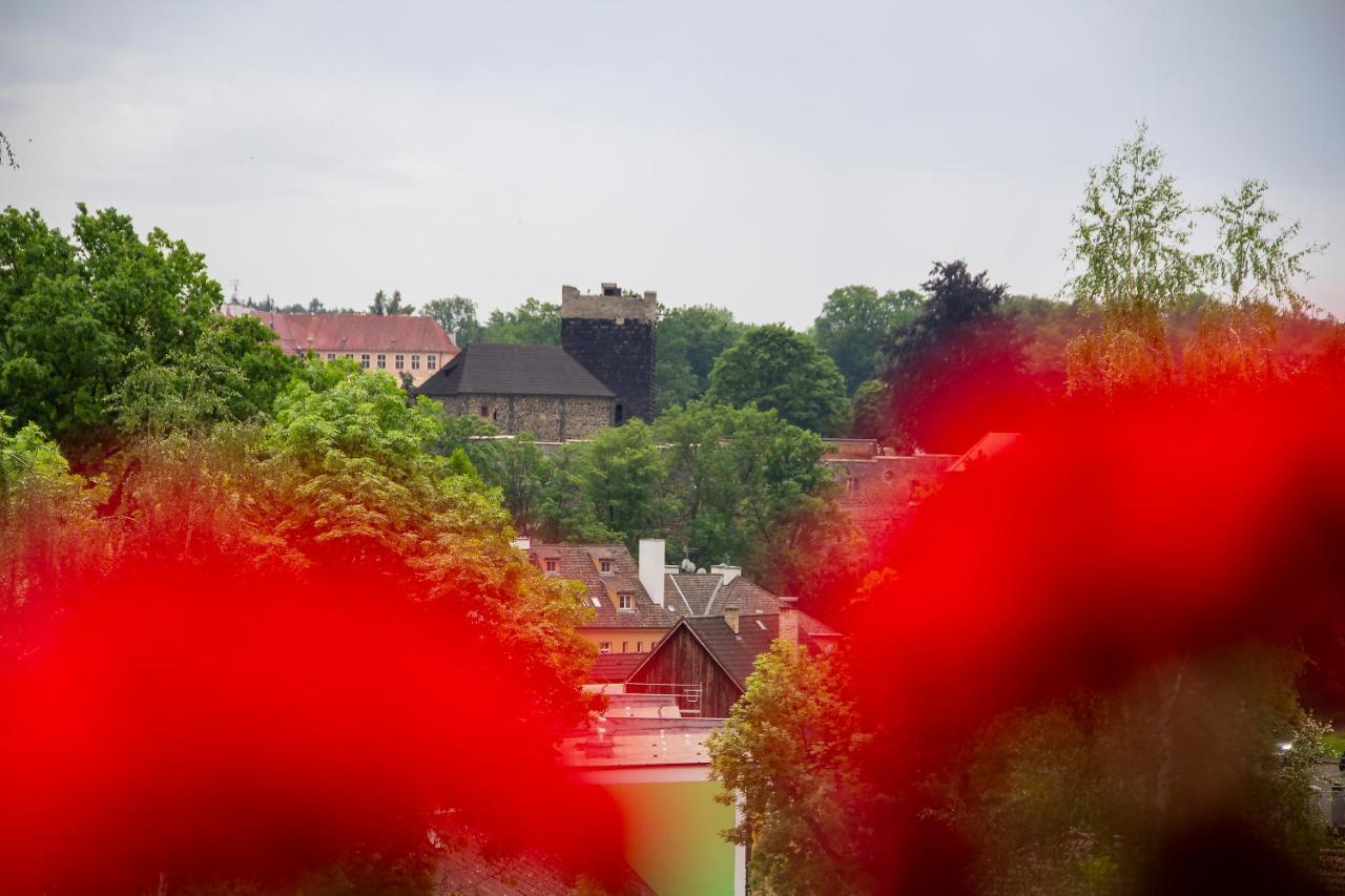 Penzion Cafe Na Svahu Cheb Exteriér fotografie
